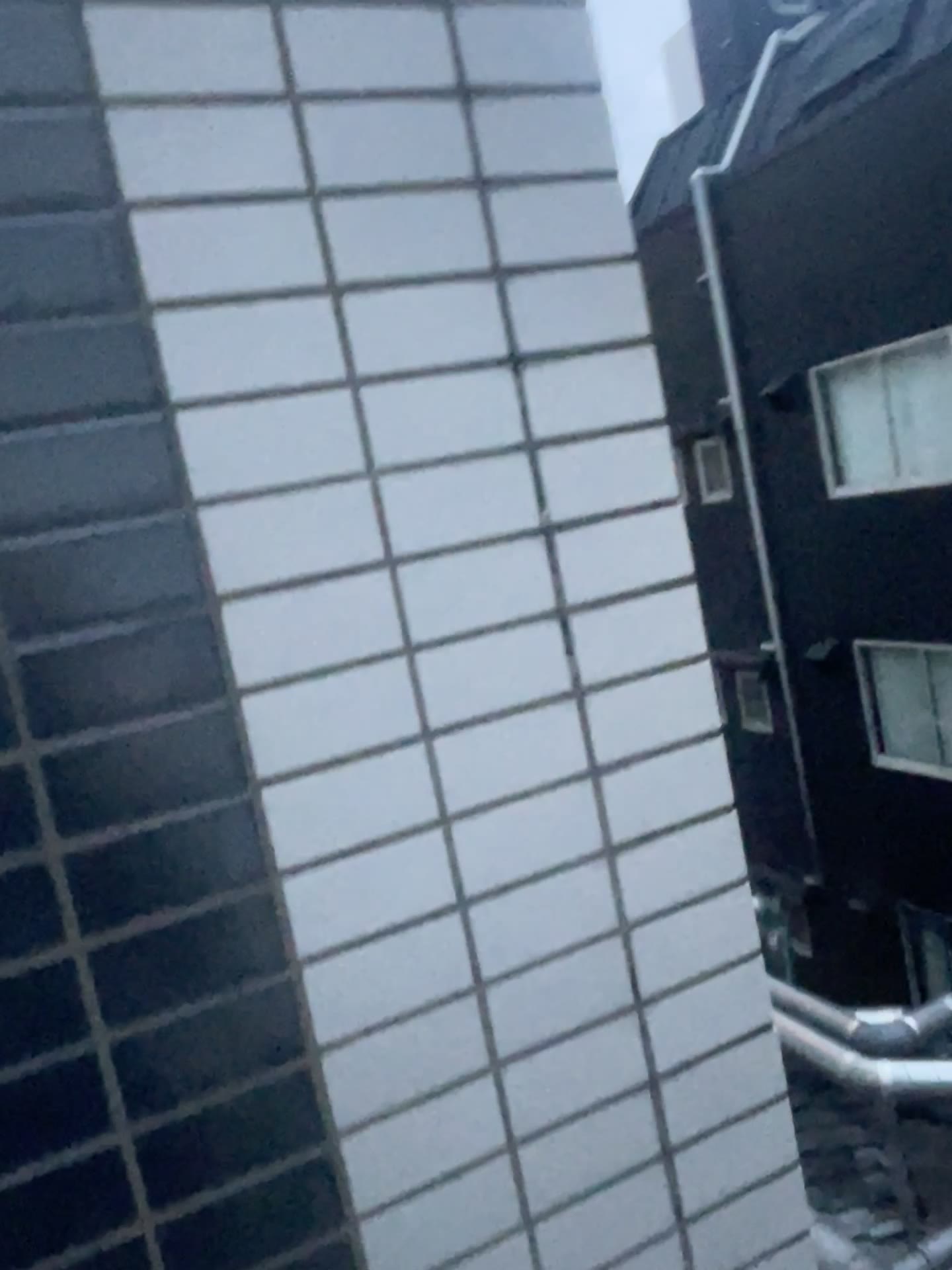 赤外線による温度分布の把握